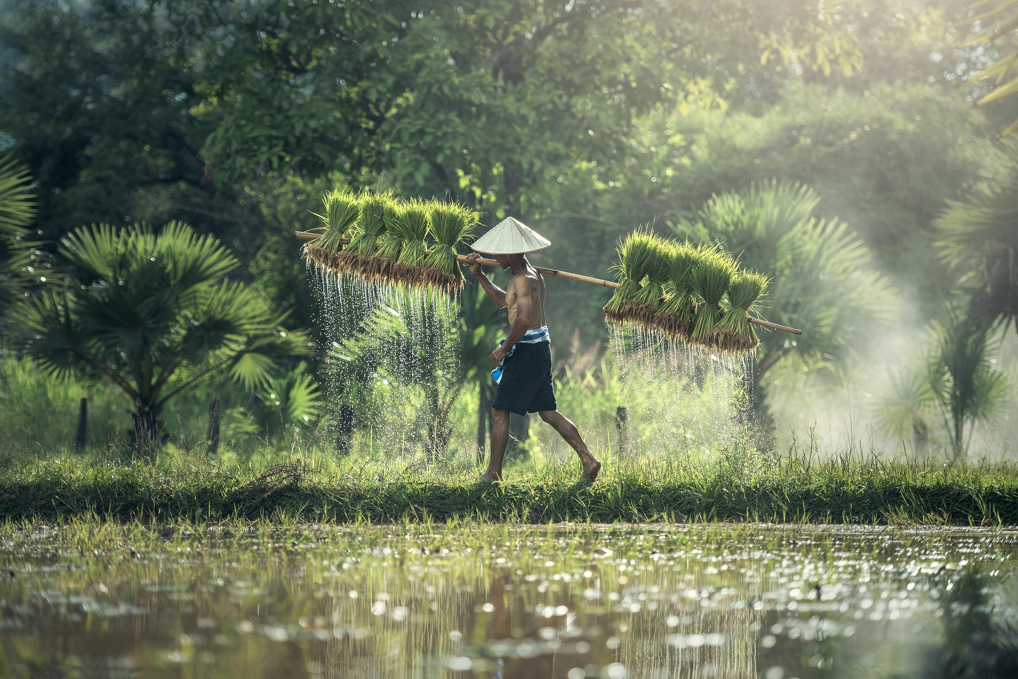 Best of Asia