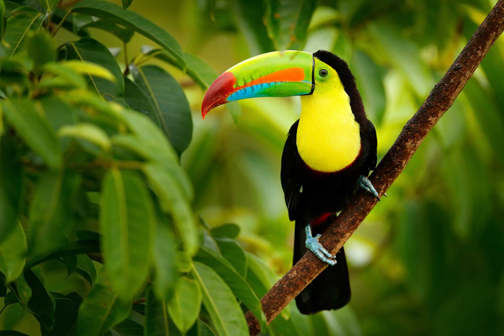 Costa Rica